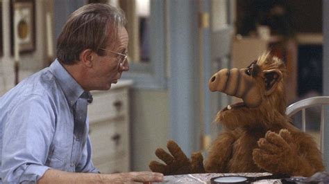 alf sexy|Things Only Adults Notice In ALF .